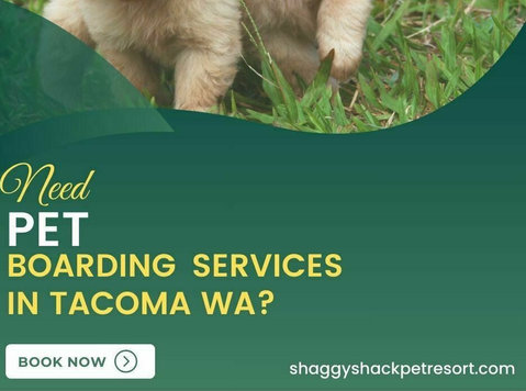 Need Pet Boarding Services in Tacoma Wa? Shaggy Shack - Друго