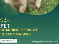 Need Pet Boarding Services in Tacoma Wa? Shaggy Shack - غيرها