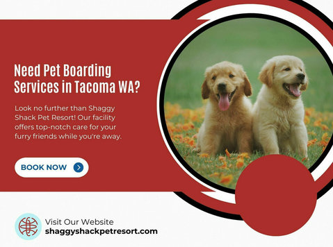 Need Pet Boarding Services in Tacoma Wa? - その他