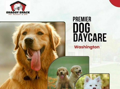 Premier Dog Daycare Services in Spanaway, Wa - Останато