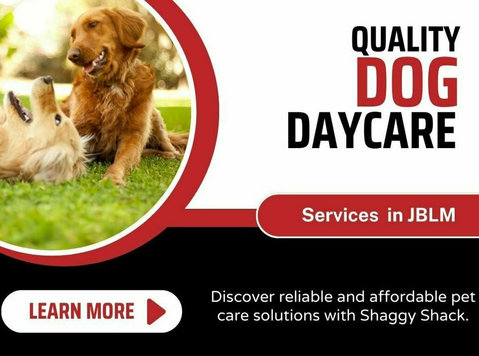 Quality Dog Daycare Services in Jblm - دیگر