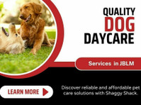 Quality Dog Daycare Services in Jblm - Autres