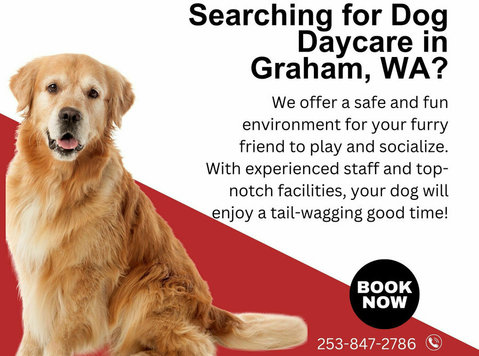 Searching for Dog Daycare in Graham, WA? Discover Shaggy Sha - その他