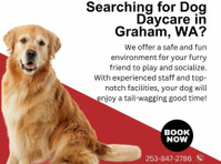 Searching for Dog Daycare in Graham, WA? Discover Shaggy Sha - อื่นๆ