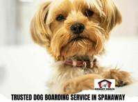 Trusted Dog Boarding Service in Spanaway - Book Now - Autres