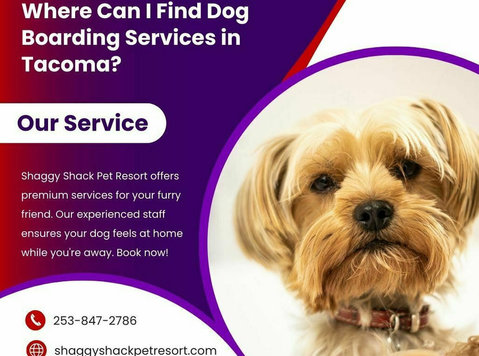 Where Can I Find Dog Boarding Services in Tacoma? - Services: Other