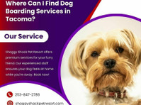 Where Can I Find Dog Boarding Services in Tacoma? - Andet