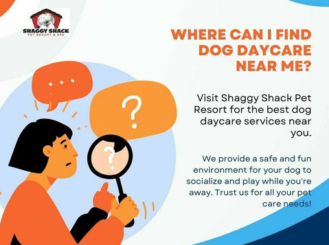 Where Can I Find Dog Daycare Near Me? | Shaggy Shack Pet Res - Outros