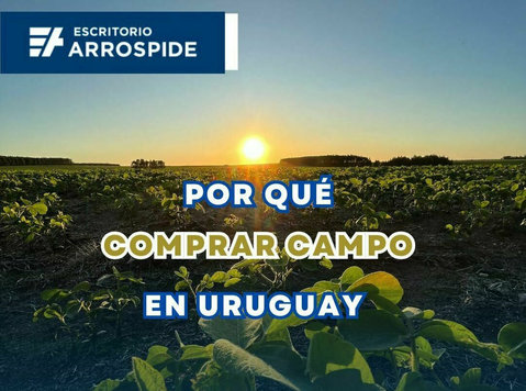 Campos en venta en Uruguay - Andet