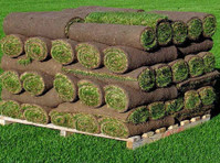 Hi Quality Turf Supplies Sydney (2) - Zahradník a krajinářství