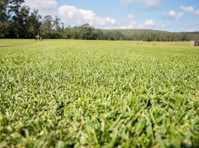 Hi Quality Turf Supplies Sydney (3) - Градинарство и озеленяване