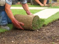 Hi Quality Turf Supplies Sydney (4) - Gardeners & Landscaping