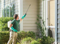 Guard Pest Control (2) - inspeção da propriedade