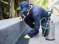 Pro Pest Control Gold Coast (3) - Serviços de Casa e Jardim