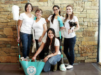 Inner West Domestics (1) - Cleaners & Cleaning services