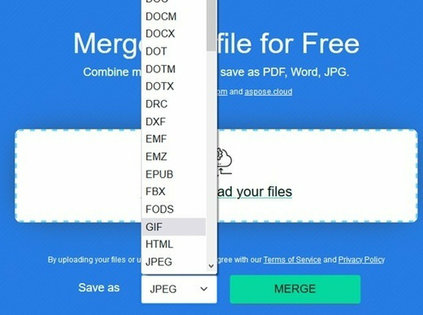 dotx to docx converter free dotx to docx converter free