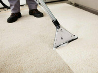 Wow Carpet Cleaning Brisbane (2) - Čistič a úklidová služba
