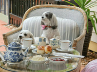 Must Love Dogs Bed & Breakfast (8) - Accommodation services