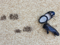 Pro Carpet Cleaning Melbourne (6) - Καθαριστές & Υπηρεσίες καθαρισμού