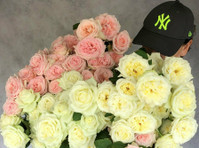 Floral Expressions (1) - Cadeaux et fleurs