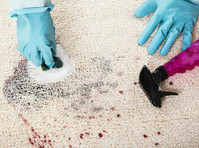 Smart Carpet Cleaning Brisbane (2) - Cleaners & Cleaning services