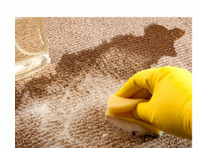 Smart Carpet Cleaning Brisbane (6) - Cleaners & Cleaning services