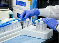 Brain Labs - DNA Testing (2) - Soins de santé parallèles