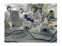 Brain Labs - DNA Testing (3) - Soins de santé parallèles