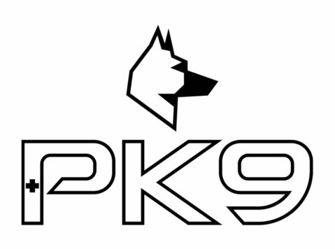 Positive K9 Training - Pet services