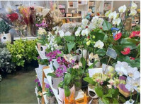 Blooming Art Florist (2) - Gifts & Flowers