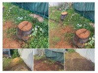 Southside Stump Grinding - Stump Removal (3) - Home & Garden Services