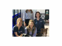 Cameron Veterinary Services (2) - Tierdienste