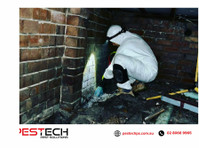 Pestech Pest Solutions (2) - Property inspection