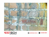 Pestech Pest Solutions (3) - پراپرٹی انسپیکشن