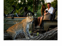 Safari Guru (7) - Туристическиe сайты