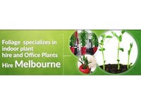 Foliage Indoor Plant Hire (1) - باغبانی اور لینڈ سکیپنگ