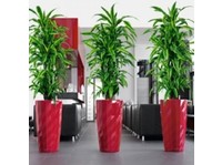 Foliage Indoor Plant Hire (2) - Jardiniers & Paysagistes