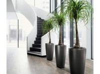 Foliage Indoor Plant Hire (3) - Jardiniers & Paysagistes