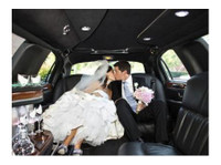 Stretch Limo Hire Gold Coast (2) - Autoverhuur