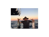 Willfish Charters Pty Ltd (3) - Рыбалка