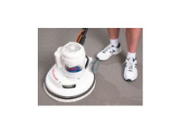 Electrodry Carpet Cleaning - Port Stephens (2) - Cleaners & Cleaning services
