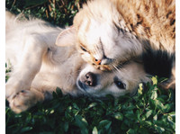 Pets Forever (3) - Lemmikkieläinpalvelut