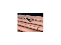 Spoton Roofing (3) - Работници и покривни изпълнители