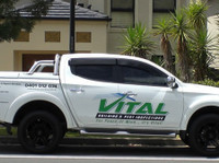 Vital Building and Pest Inspections (1) - Home & Garden Services