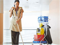 Queens of Tasks (2) - صفائی والے اور صفائی کے لئے خدمات