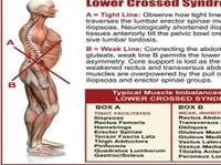 Kinetic Remedial Massage and Corrective Exercise (1) - آلٹرنیٹو ھیلتھ کئیر