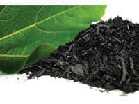 The Biochar Revolution - Improve Soil Health (3) - Puutarhurit ja maisemointi