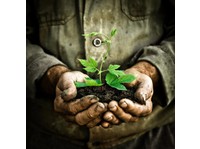 The Biochar Revolution - Improve Soil Health (5) - Κηπουροί & Εξωραϊσμός