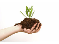 The Biochar Revolution - Improve Soil Health (8) - Jardineiros e Paisagismo