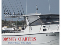 Mooloolaba Fishing Charters (4) - ماہی گیری اور اینگلنگ